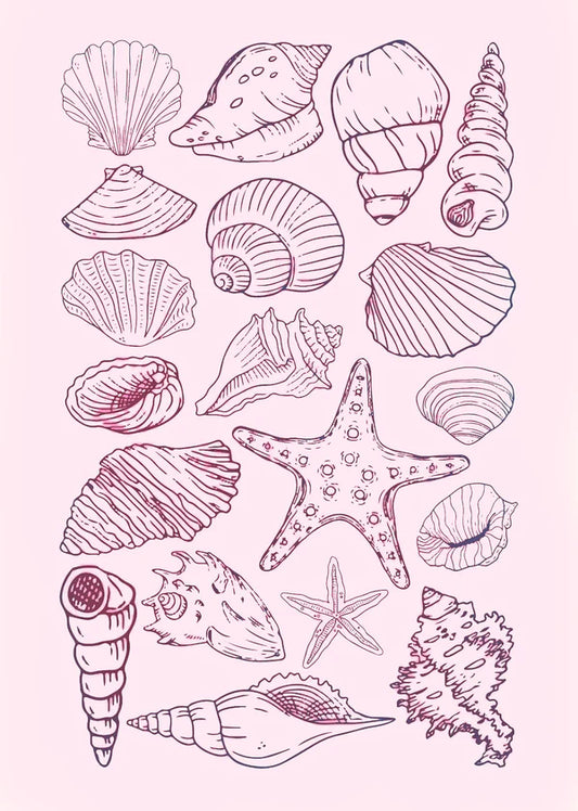 Seashell Rhinestone Canvas Art Kit