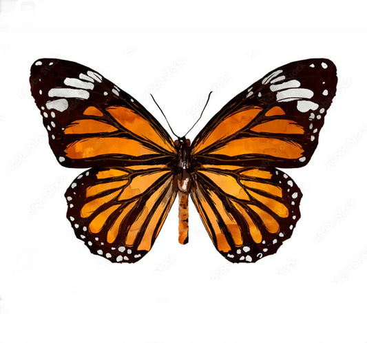 Butterfly Rhinestone Canvas Art Kit