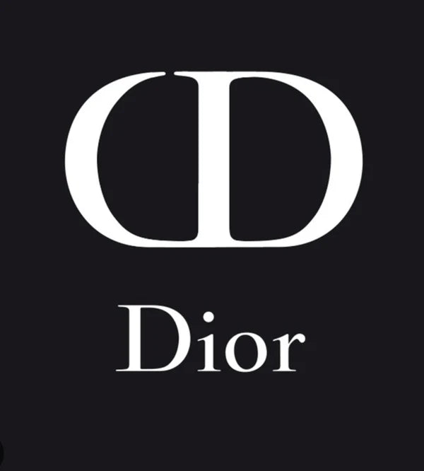 Dior logo Rhinestone Canvas Art Kit