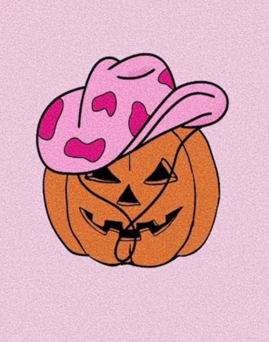 Pink Cowboy Hat Pumpkin Rhinestone Canvas Art Kit