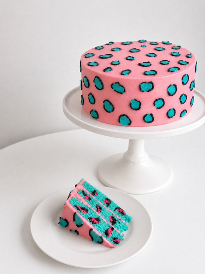Pink Teal Leopard Cake Rhinestone Canvas Art Kit