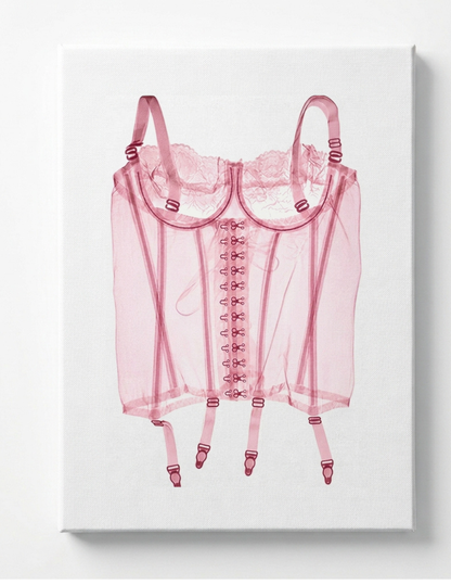 Pink X-ray Lingerie Rhinestone Canvas Art Kit