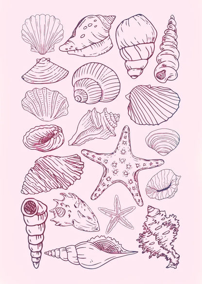 Seashell Rhinestone Canvas Art Kit