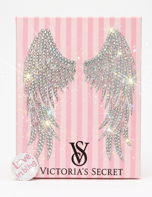Silver Wings Rhinestone Canvas Art Kit